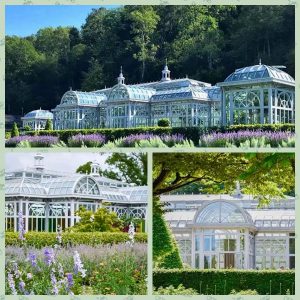 Dream Choice: Victoria Greenhouse Conservatory, Start A New Wedding